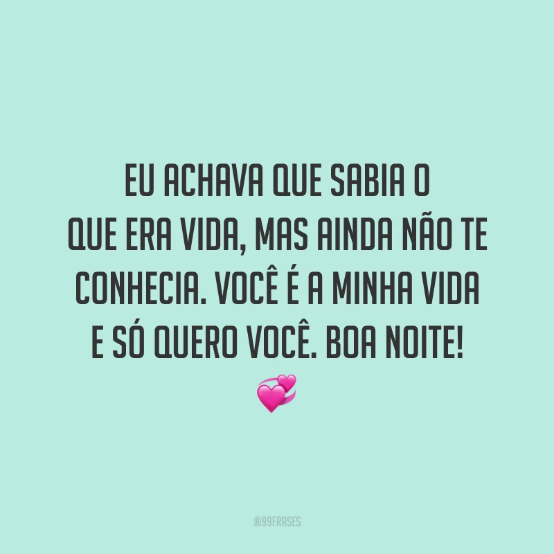 Eu achava que sabia o que era vida, mas ainda não te conhecia. Você é a minha vida e só quero você. Boa noite!