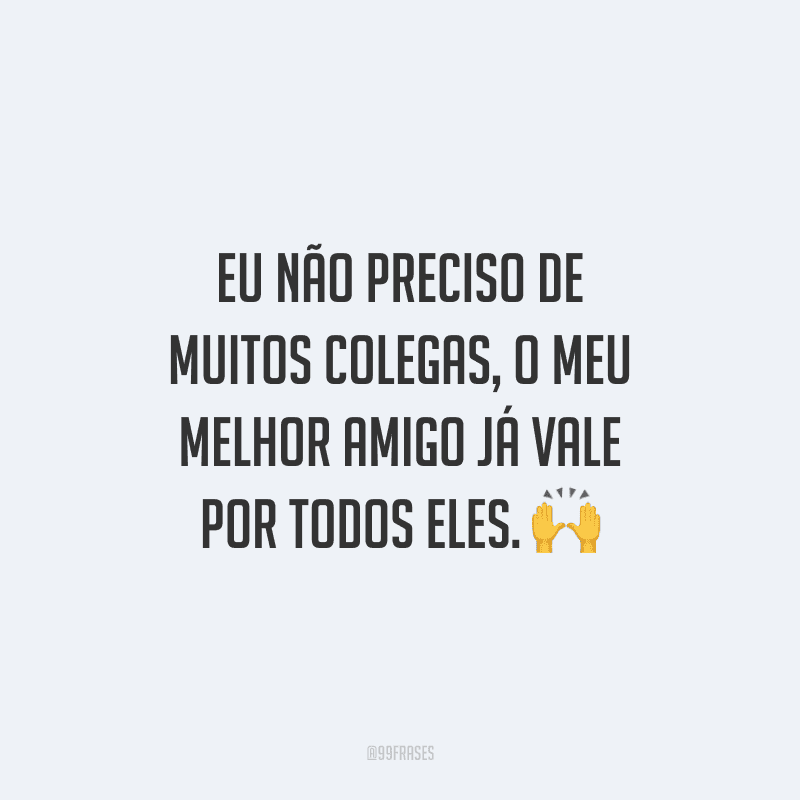 Eu não preciso de muitos colegas, o meu melhor amigo já vale por todos eles.