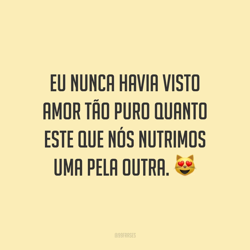 Eu nunca havia visto amor tão puro quanto este que nós nutrimos uma pela outra. 😻