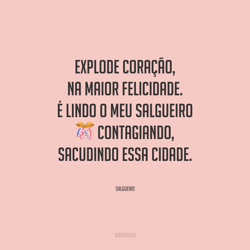 Explode coração, na maior felicidade. É lindo o meu Salgueiro contagiando, sacudindo essa cidade.