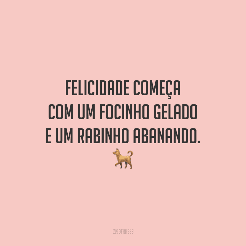 Felicidade começa com um focinho gelado e um rabinho abanando.
