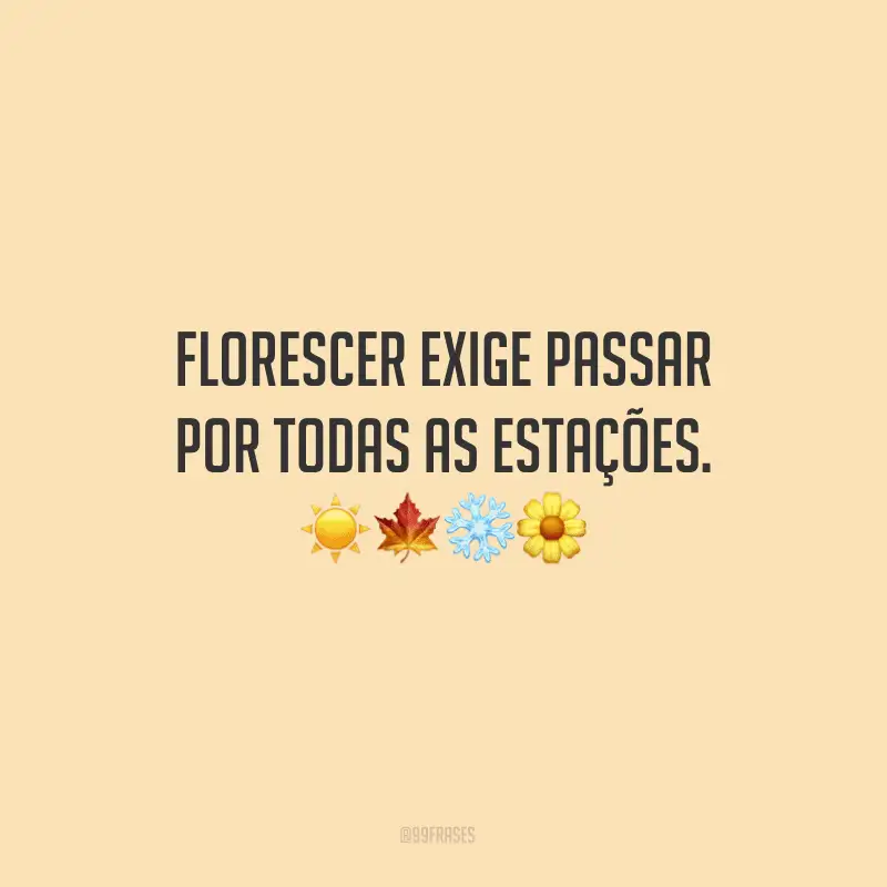 Florescer exige passar por todas as estações.