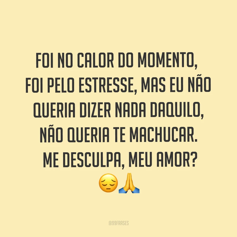 Foi no calor do momento, foi pelo estresse, mas eu não queria dizer nada daquilo, não queria te machucar. Me desculpa, meu amor? ??