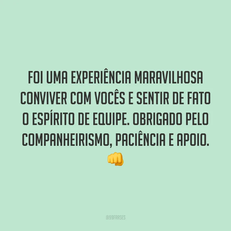 Foi uma experiência maravilhosa conviver com vocês e sentir de fato o espírito de equipe. Obrigado pelo companheirismo, paciência e apoio. 👊