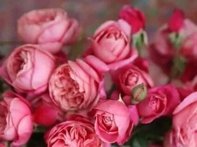 100 frases de amor para aquecer seu coração