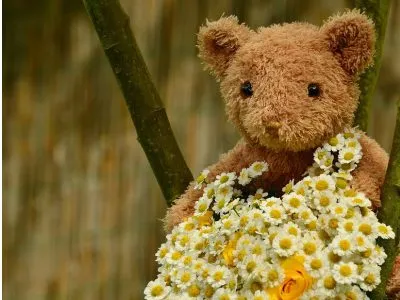 50 frases de aniversário com carinho que ficarão guardadas no coração