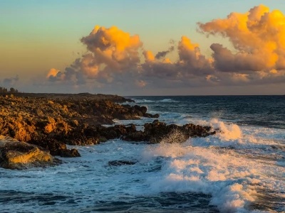 30 frases de boa tarde para grupo que vão descontrair seus amigos