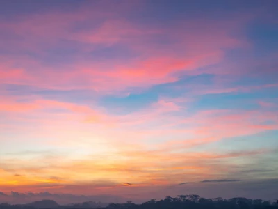 50 frases de bom dia, segunda-feira para energizar a sua manhã