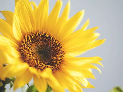 30 frases de fé e esperança para renovar sua força e vontade de viver