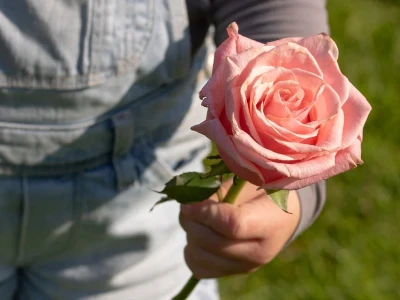 40 frases de gratidão e amor para levar a vida com leveza