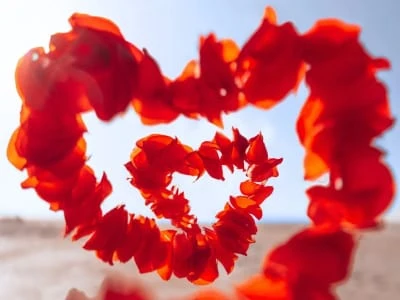 40 frases de motivação no amor para acreditar na sua força e poder