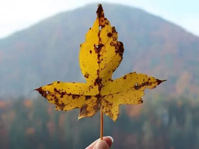 130 frases de motivação para te animar