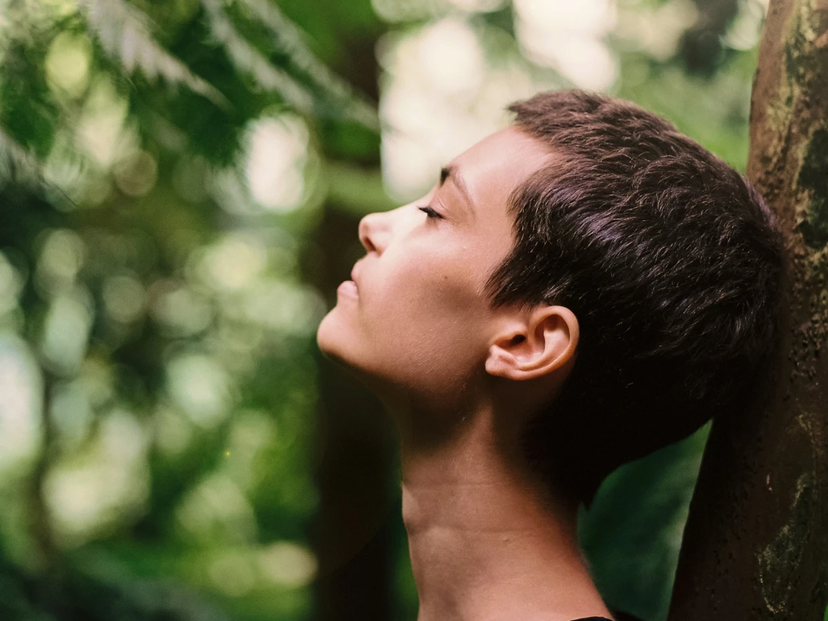 40 frases de natureza e paz que te deixarão em comunhão com a vida