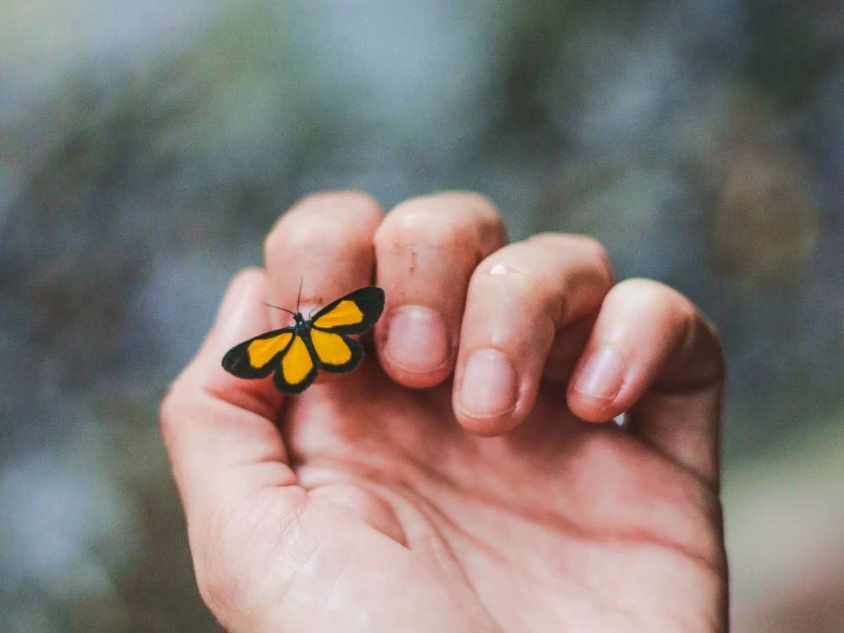 80 frases sobre a vida que trazem reflexões essenciais