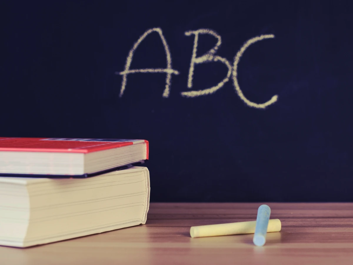 50 frases sobre educação e seu poder de transformar vidas