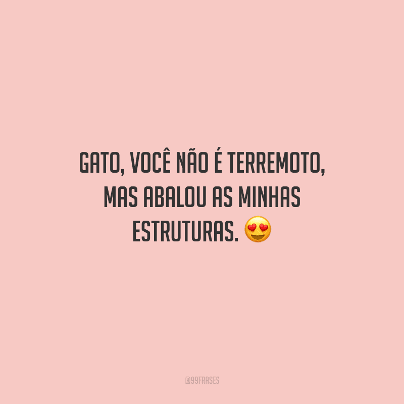 Gato, você não é terremoto, mas abalou as minhas estruturas. 