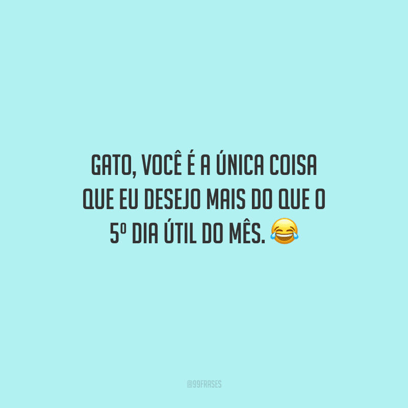 Gato, você é a única coisa que eu desejo mais do que o 5º dia útil do mês. 