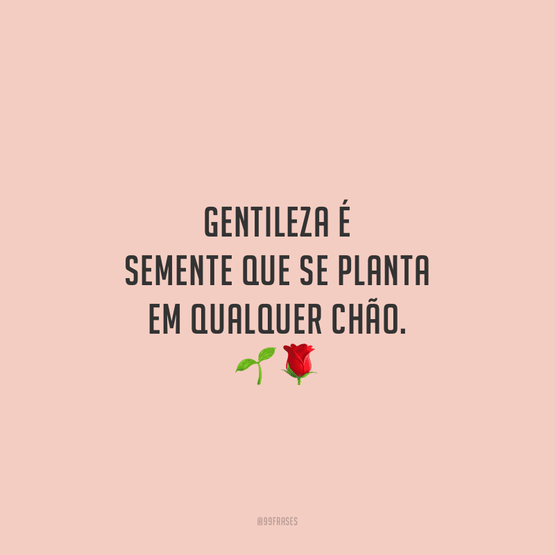 Gentileza é semente que se planta em qualquer chão.