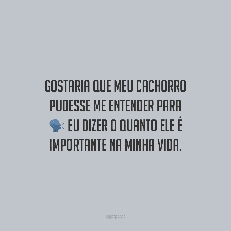 Gostaria que meu cachorro pudesse me entender para eu dizer o quanto ele é importante na minha vida.