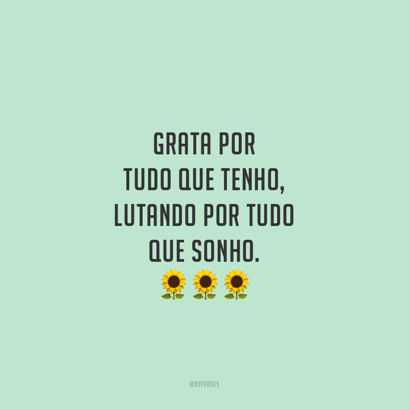 Grata por tudo que tenho, lutando por tudo que sonho.