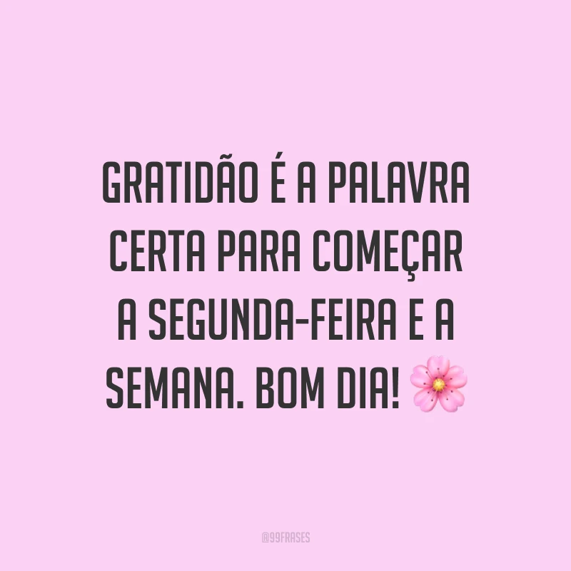 Gratidão é a palavra certa para começar a segunda-feira e a semana. Bom dia! 🌸