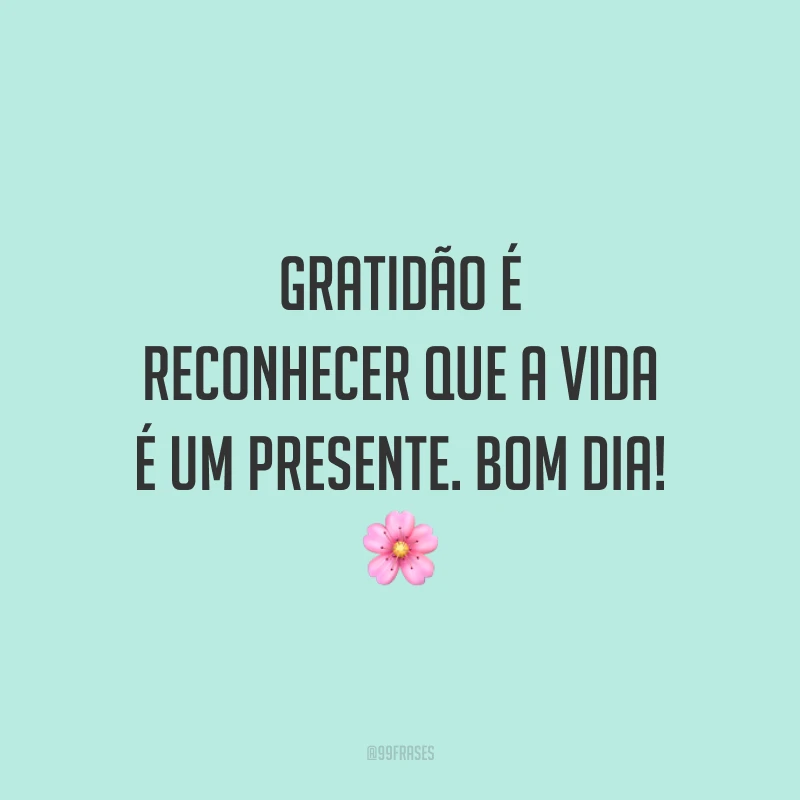 Gratidão é reconhecer que a vida é um presente. Bom dia! 🌸