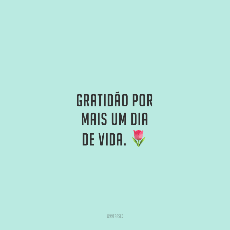 Gratidão por mais um dia de vida.