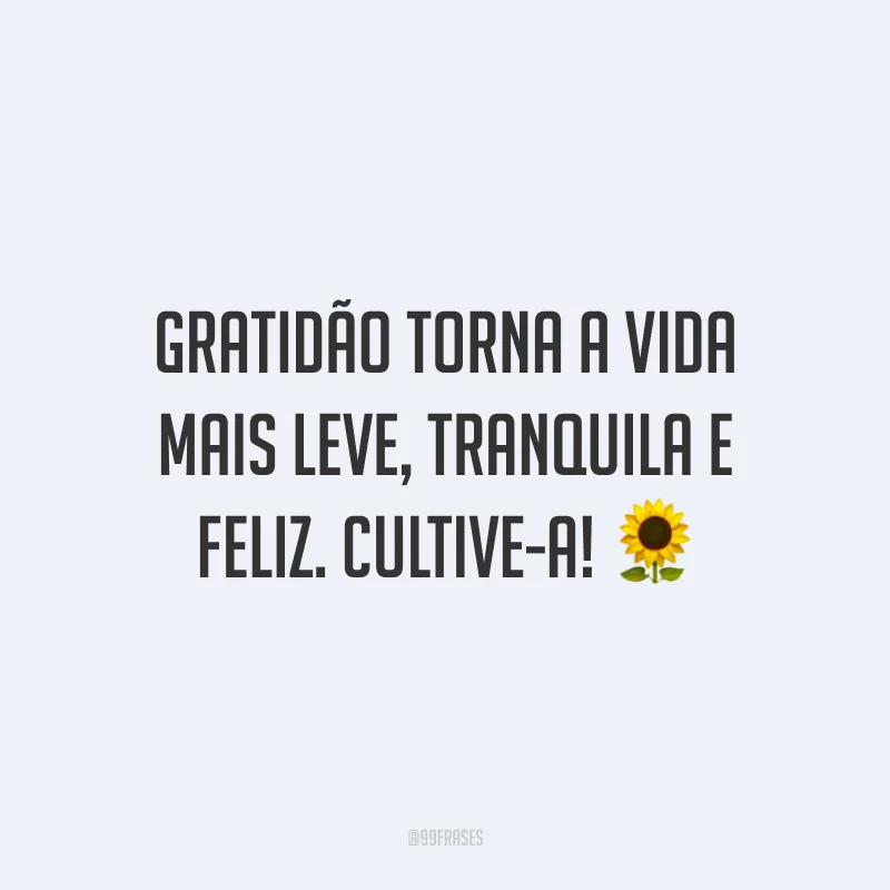 Gratidão torna a vida mais leve, tranquila e feliz. Cultive-a!