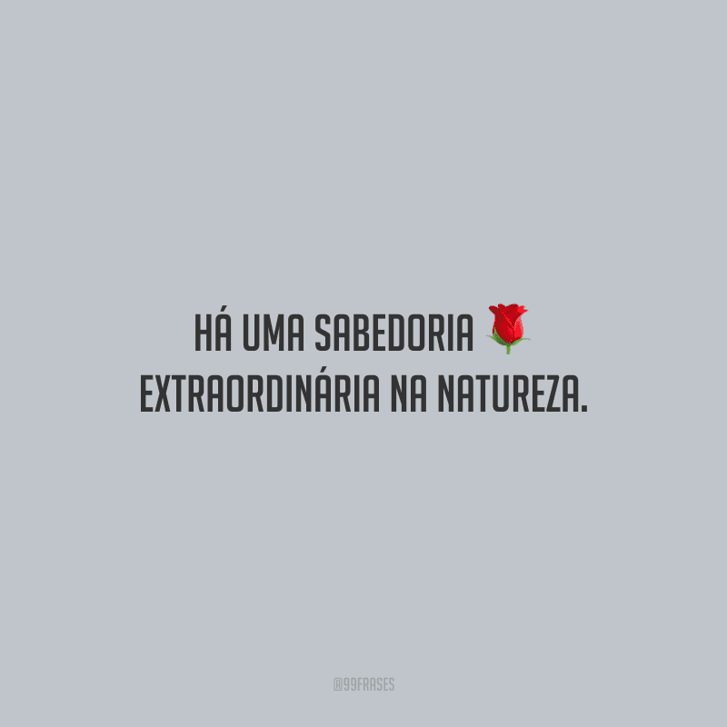 Há uma sabedoria extraordinária na natureza.