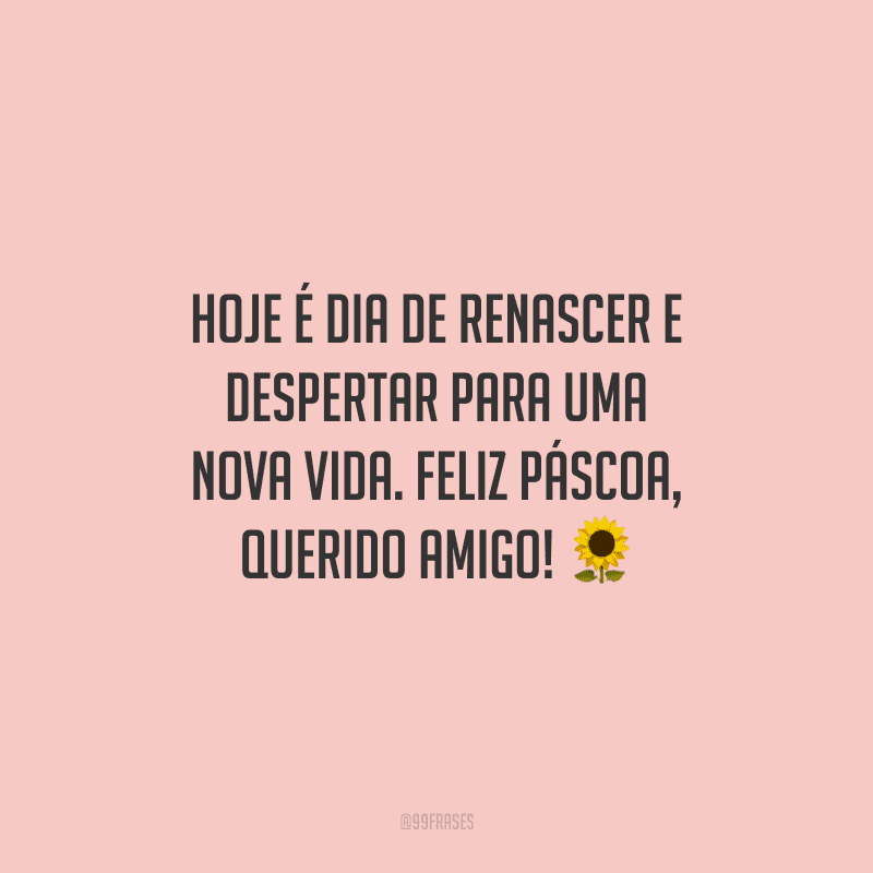 Hoje é dia de renascer e despertar para uma nova vida. Feliz Páscoa, querido amigo!