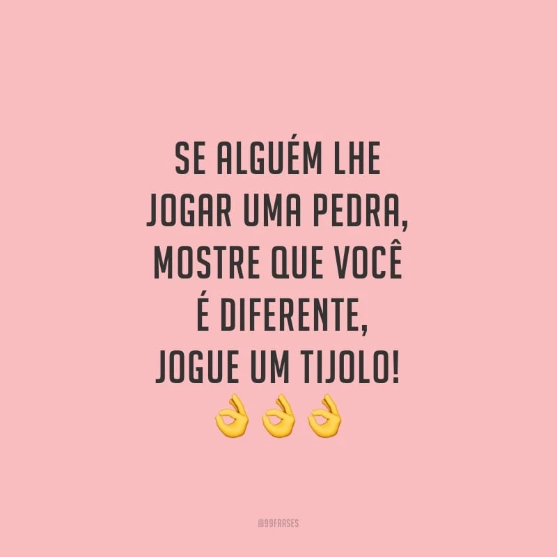 Se alguém lhe jogar uma pedra, mostre que você é diferente, jogue um tijolo!