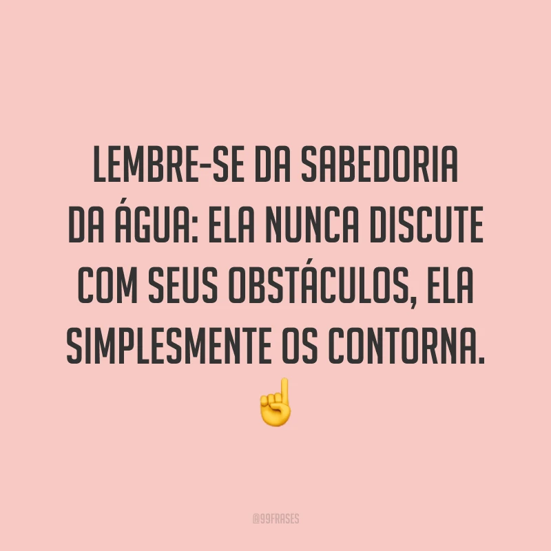 Lembre-se da sabedoria da água: ela nunca discute com seus obstáculos, ela simplesmente os contorna.☝️