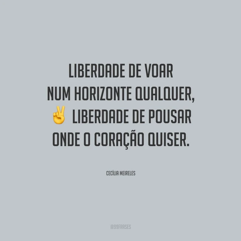 Liberdade de voar num horizonte qualquer, liberdade de pousar onde o coração quiser.
