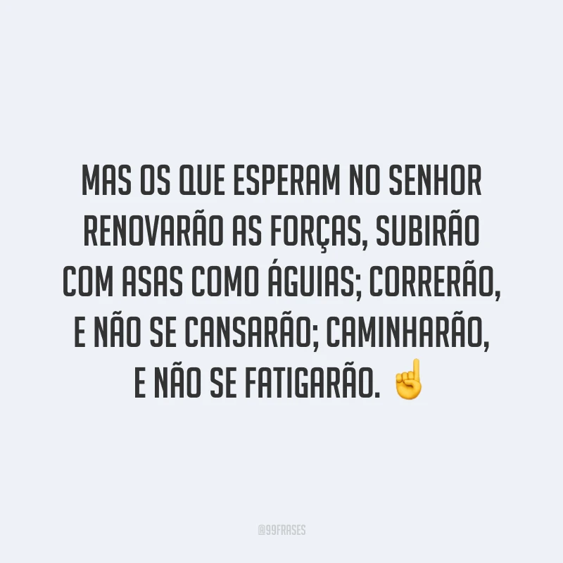 Mas os que esperam no Senhor renovarão as forças, subirão com asas como águias; correrão, e não se cansarão; caminharão, e não se fatigarão. ☝