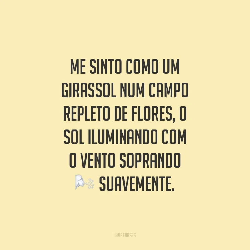 Me sinto como um girassol num campo repleto de flores, o sol iluminando com o vento soprando suavemente.