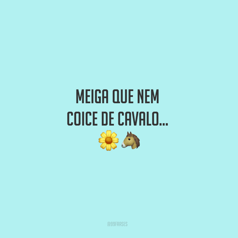 Meiga que nem coice de cavalo...