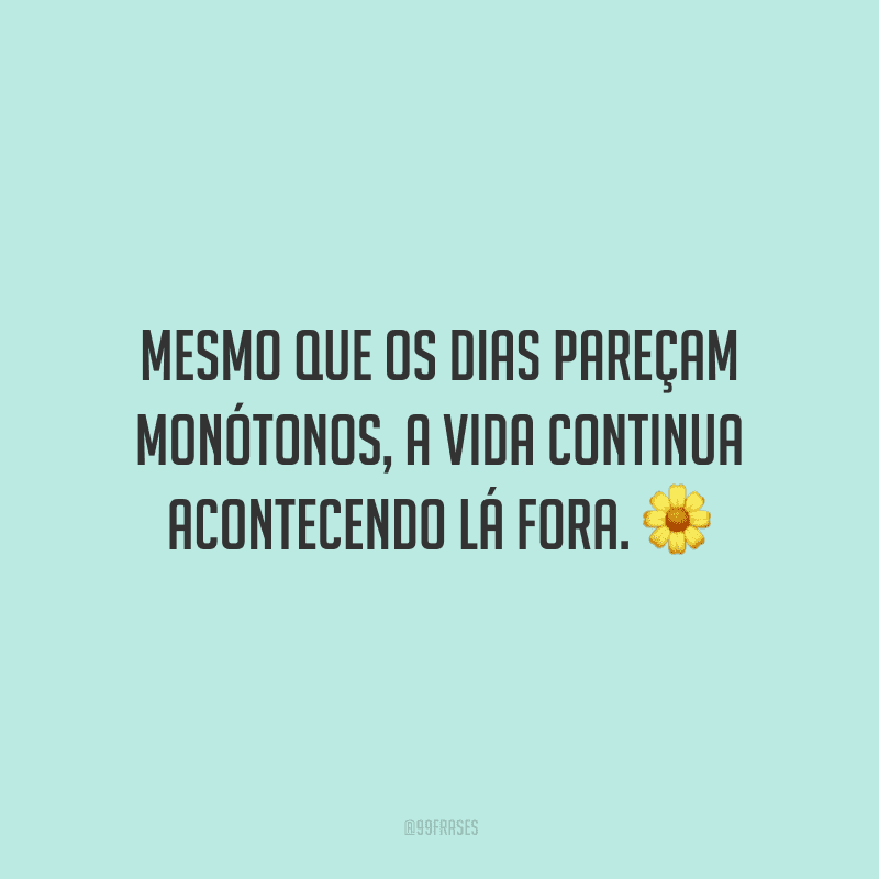 Mesmo que os dias pareçam monótonos, a vida continua acontecendo lá fora.