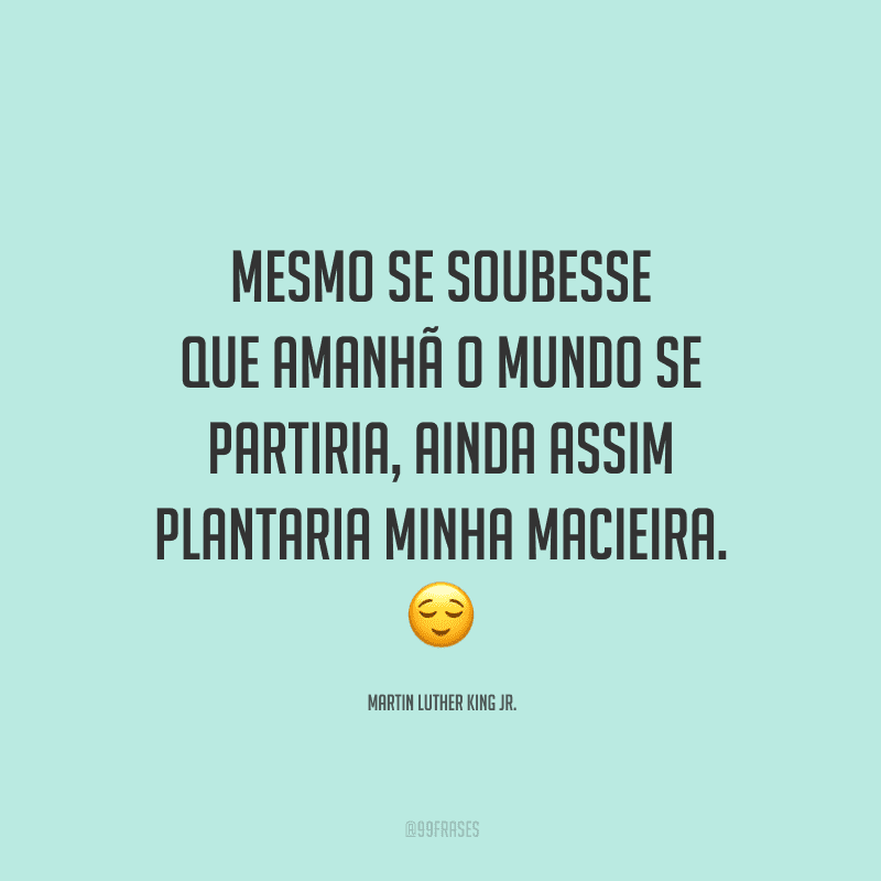 Mesmo se soubesse que amanhã o mundo se partiria, ainda assim plantaria minha macieira.