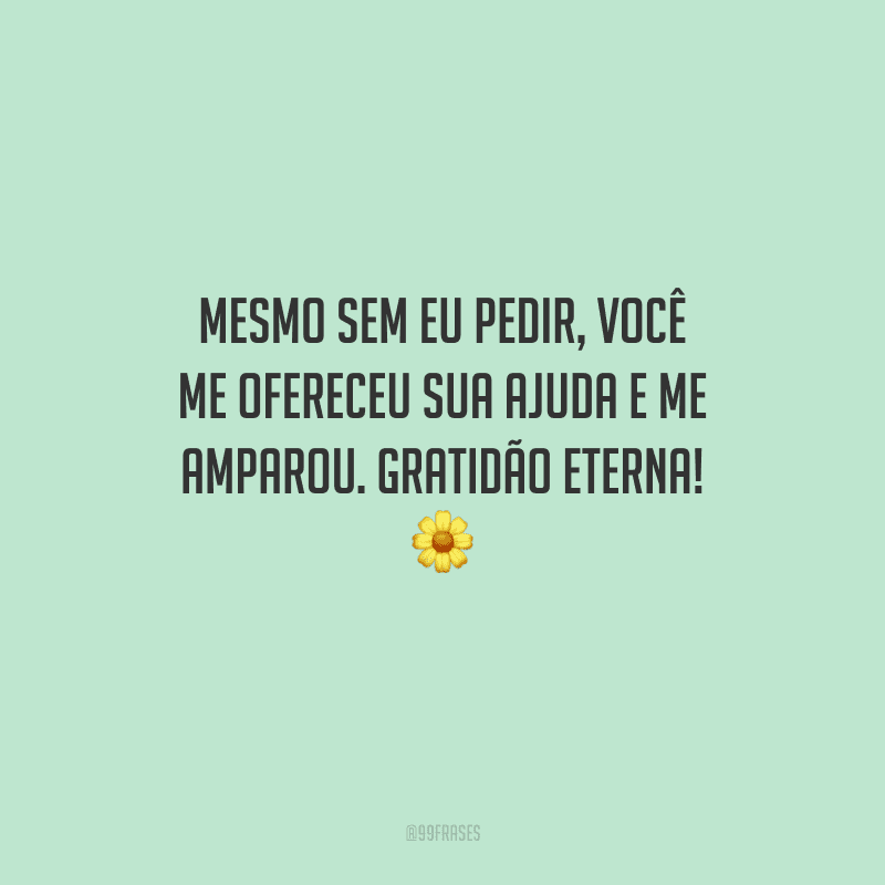 Mesmo sem eu pedir, você me ofereceu sua ajuda e me amparou. Gratidão eterna! 🌼