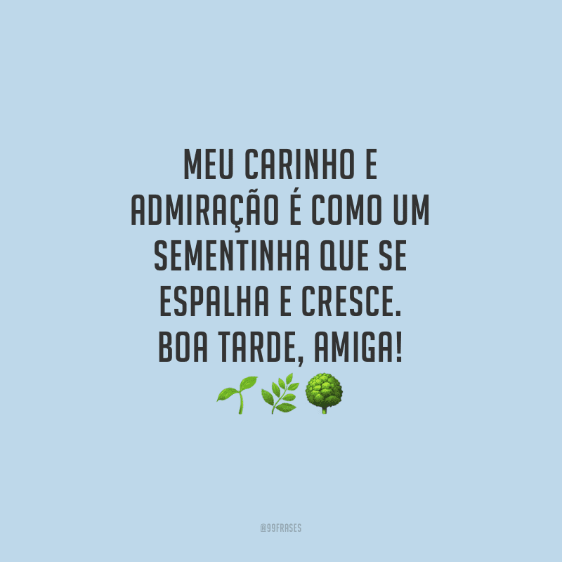 Meu carinho e admiração é como um sementinha que se espalha e cresce. Boa tarde, amiga!