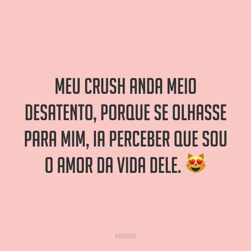 Meu crush anda meio desatento, porque se olhasse para mim, ia perceber que sou o amor da vida dele. 😻