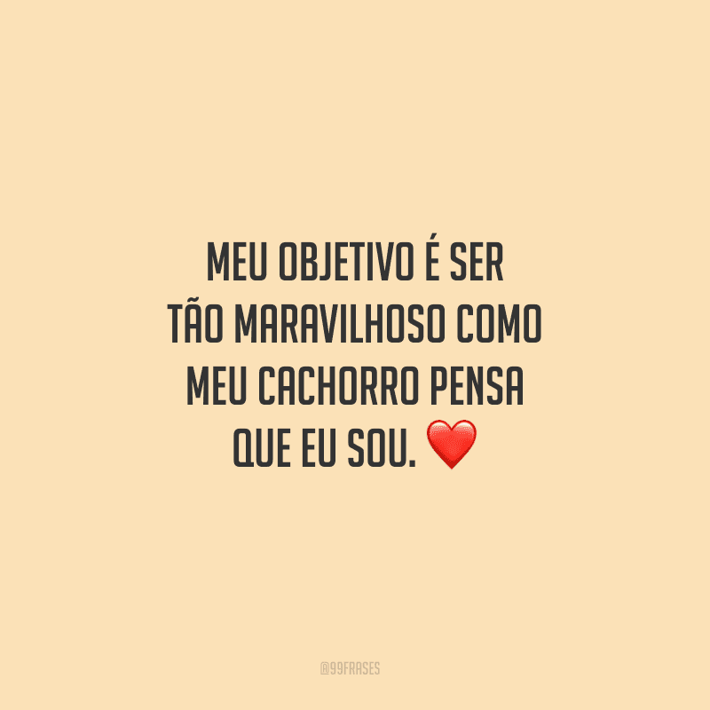 Meu objetivo é ser tão maravilhoso como meu cachorro pensa que eu sou.