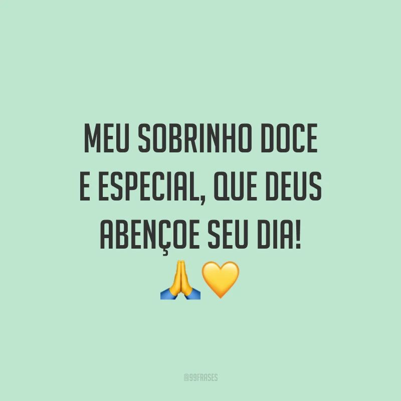 Meu sobrinho doce e especial, que Deus abençoe seu dia! 🙏💛