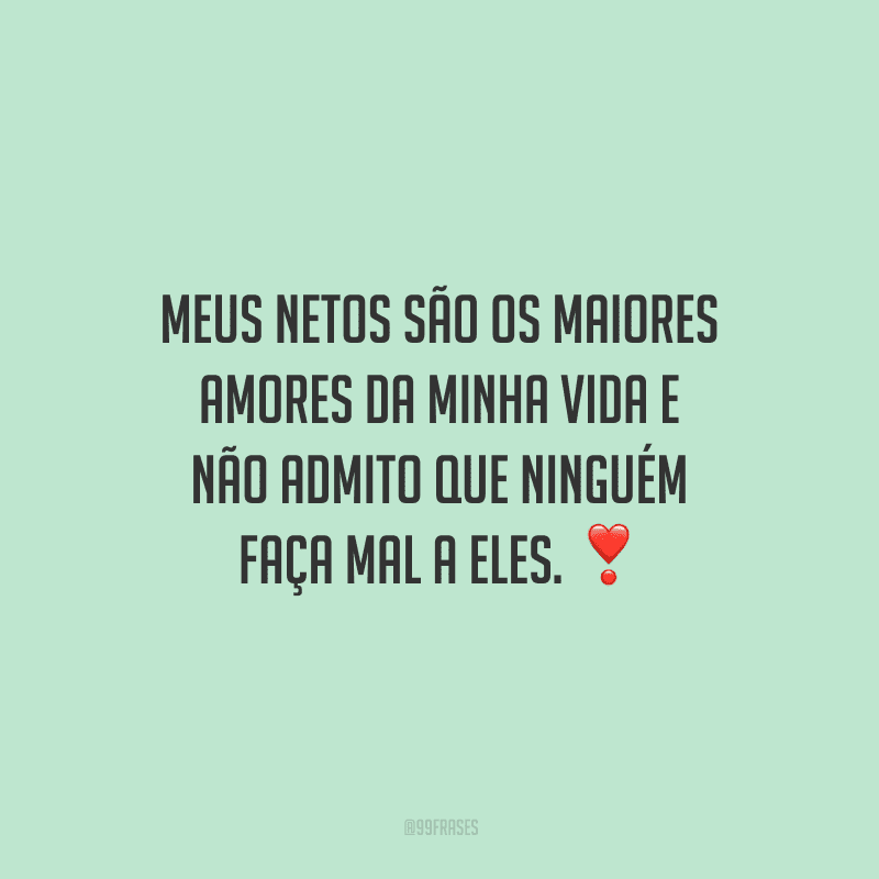 Meus netos são os maiores amores da minha vida e não admito que ninguém faça mal a eles. 