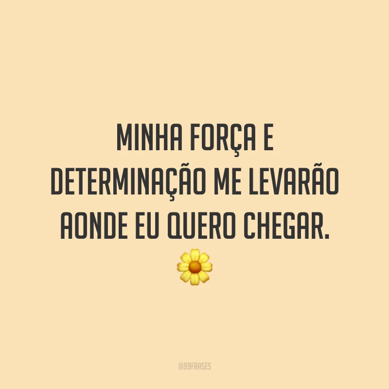 Minha força e determinação me levarão aonde eu quero chegar. 🌼