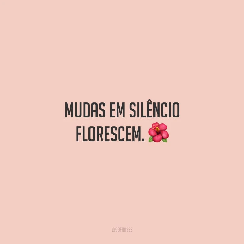 Mudas em silêncio florescem.