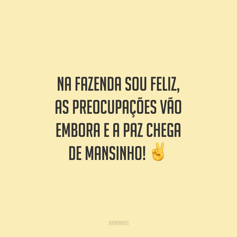 Na fazenda sou feliz, as preocupações vão embora e a paz chega de mansinho!