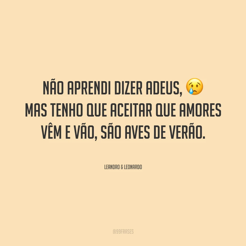 Não aprendi dizer adeus, mas tenho que aceitar que amores vêm e vão, são aves de verão.