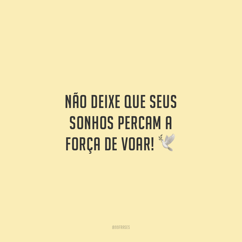 Não deixe que seus sonhos percam a força de voar!