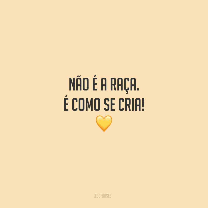 Não é a raça. É como se cria!